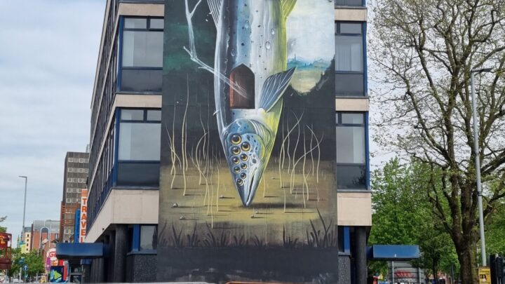 Two murals unveiled on Shaftesbury Square and Dublin Road