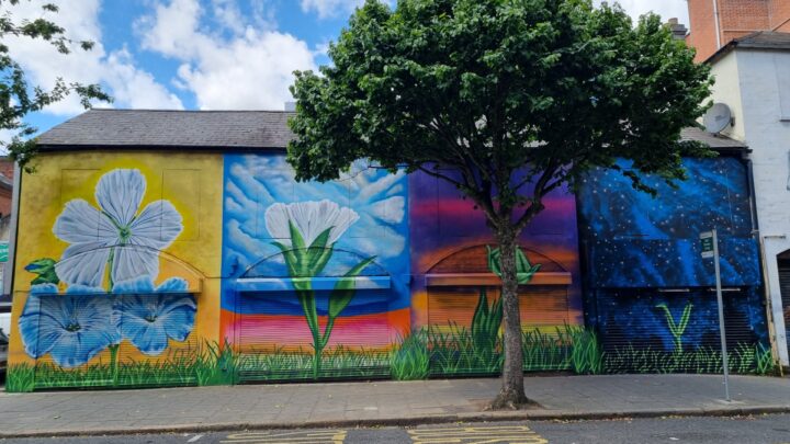 SEEDING SUCCESS mural installed on Linenhall Street