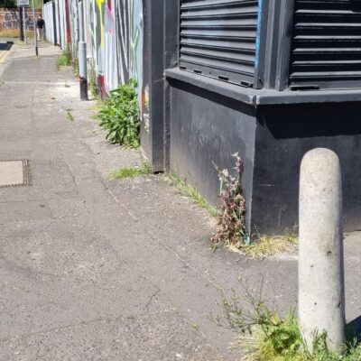 127 Great Victoria St and Stroud St   weeds growing
